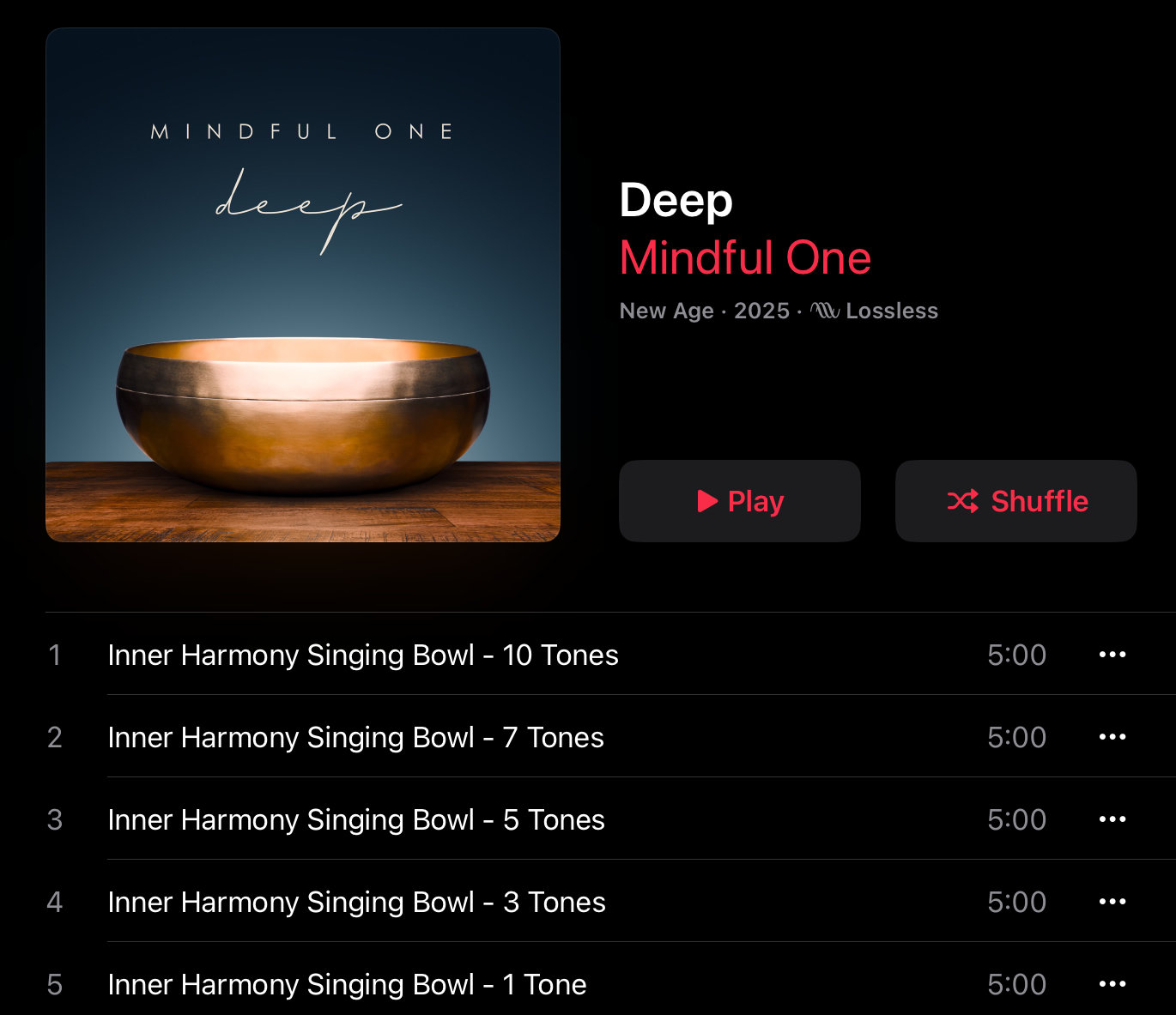 Mindful One - Instructions